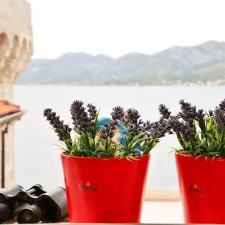 Kanavelic Place - Old Town Lägenhet *